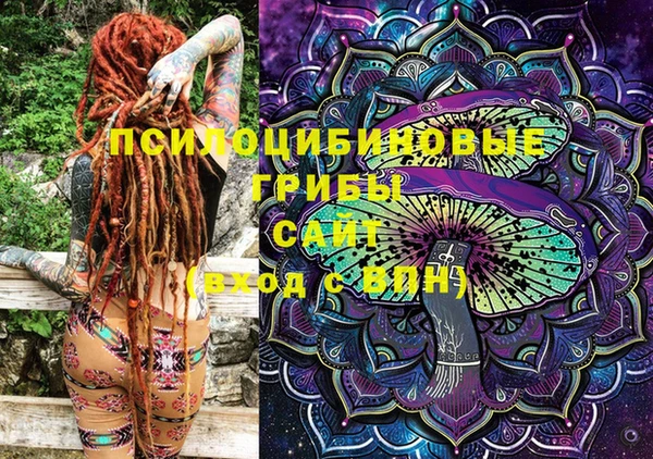 индика Абаза