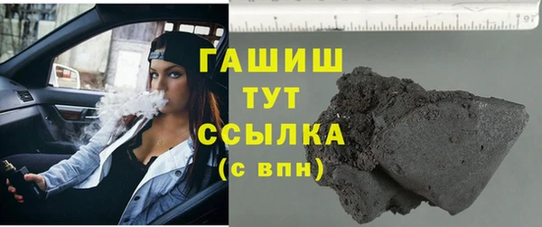 индика Абаза