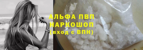 индика Абаза