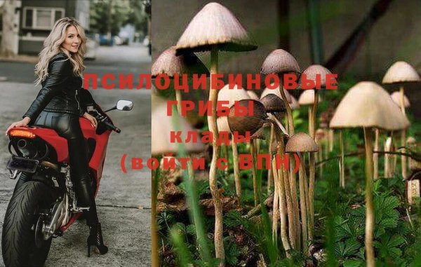 a pvp Абинск