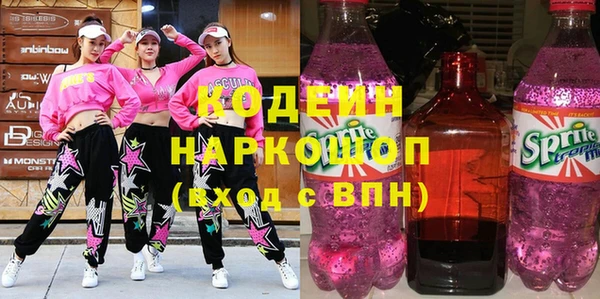 индика Абаза